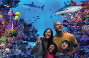 sea life florida